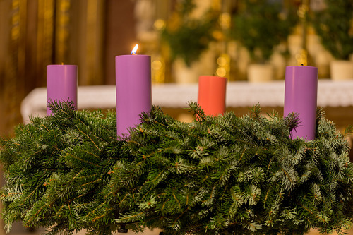 Stephan Schönlaub - Erzdiözese Wien